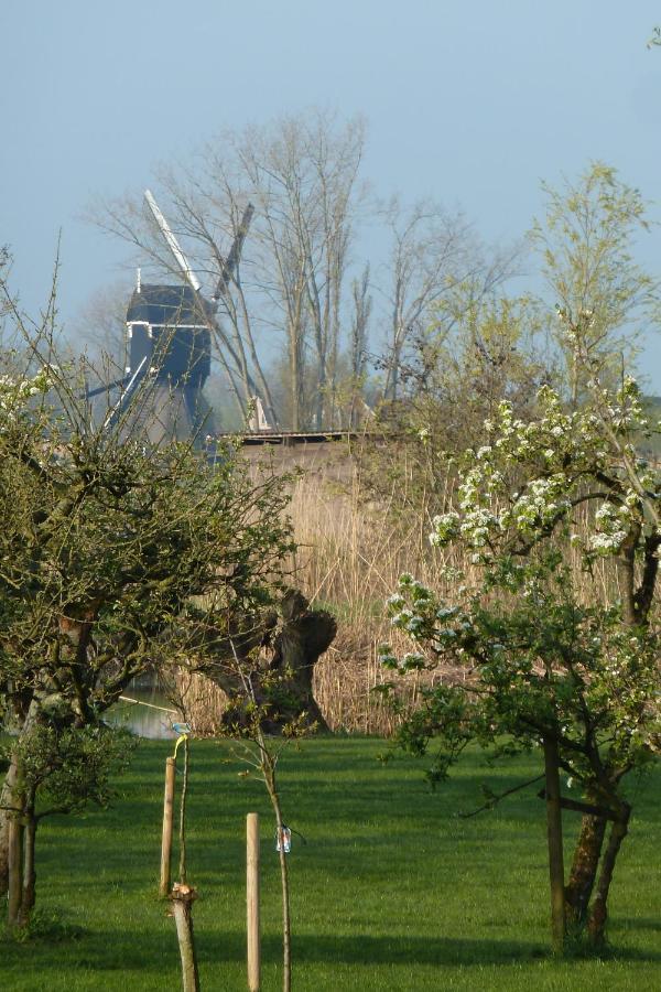Bed&Breakfast Hoornaar Exterior foto